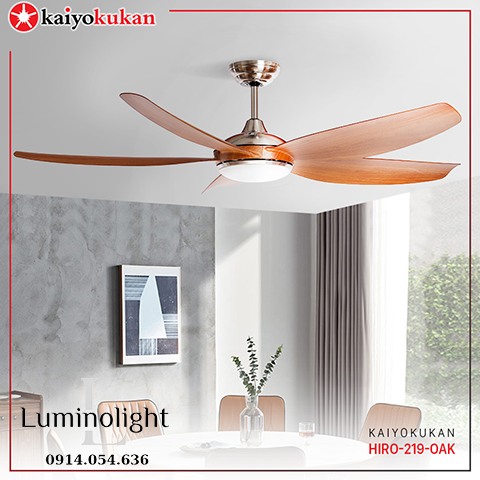 Lumino Light