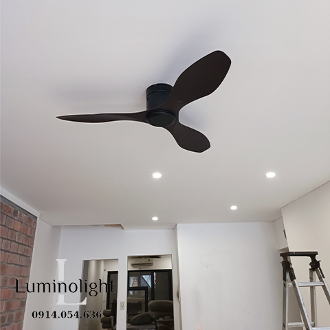 Lumino Light