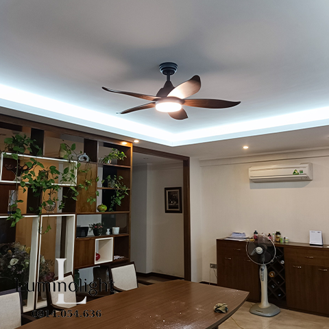 Lumino Light