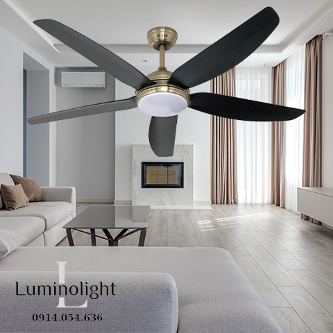 Lumino Light