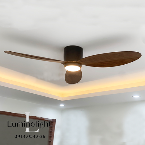 Lumino Light