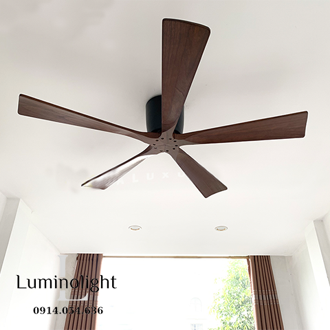 Lumino Light