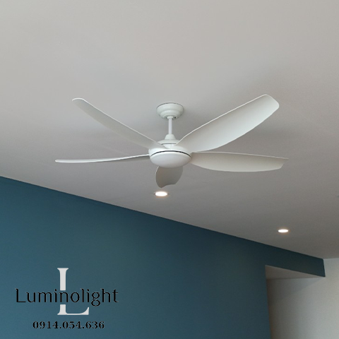 Lumino Light