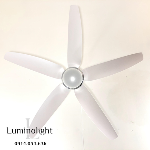 Lumino Light