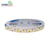 Đèn LED dán Kingled DC12V-22W