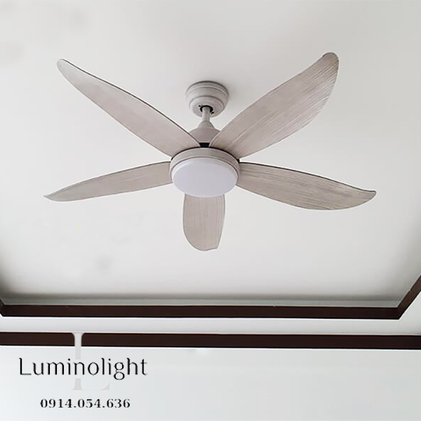 Lumino Light