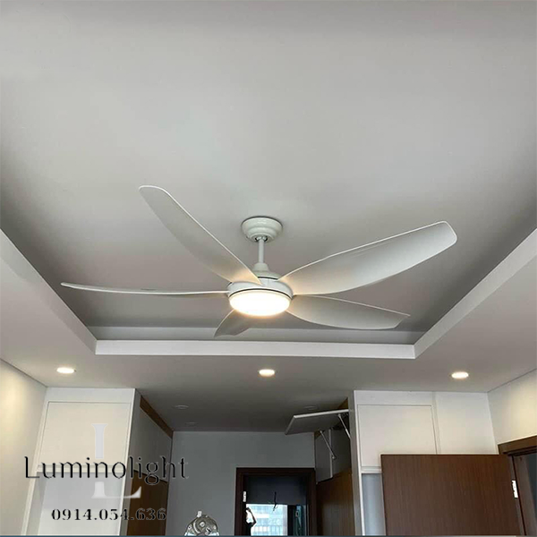 Lumino Light