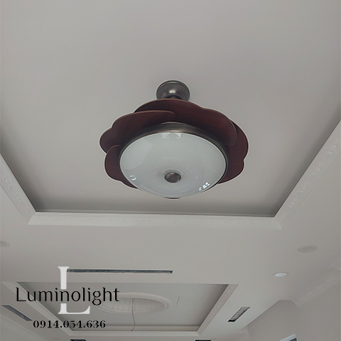 Lumino Light