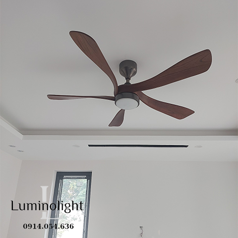 Lumino Light